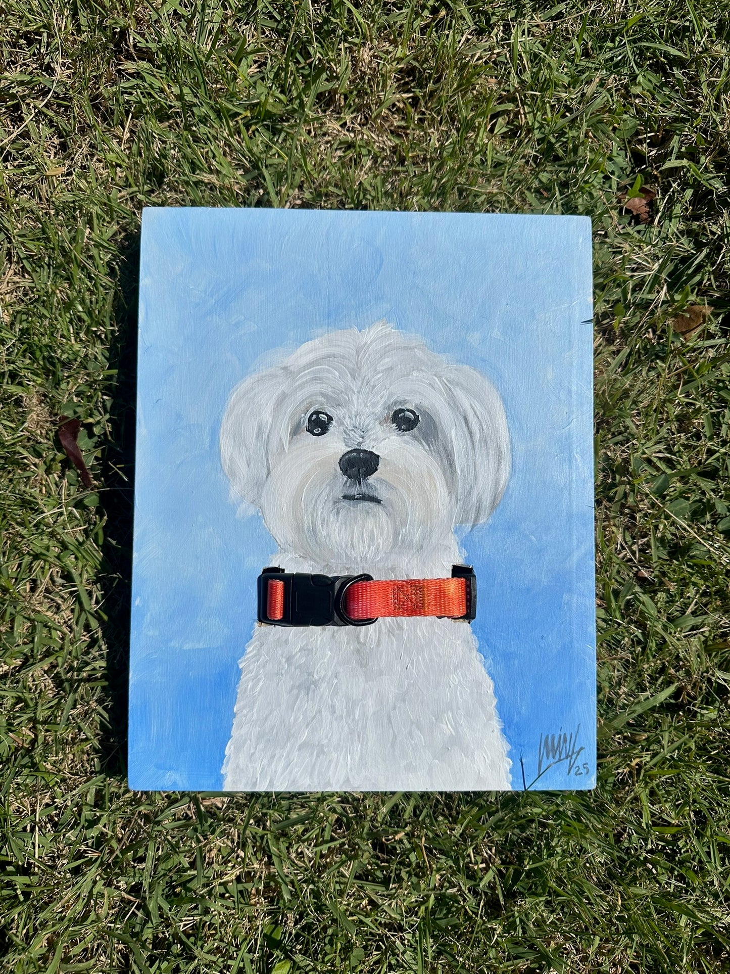 Acrílico sobre Madera 8x10 con Collar